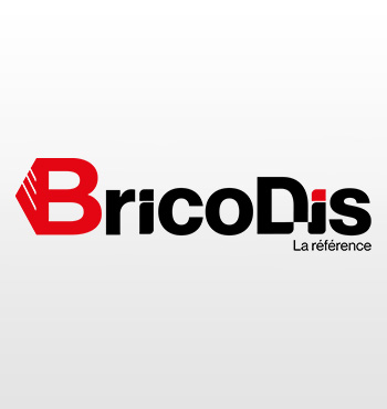 Bricodis